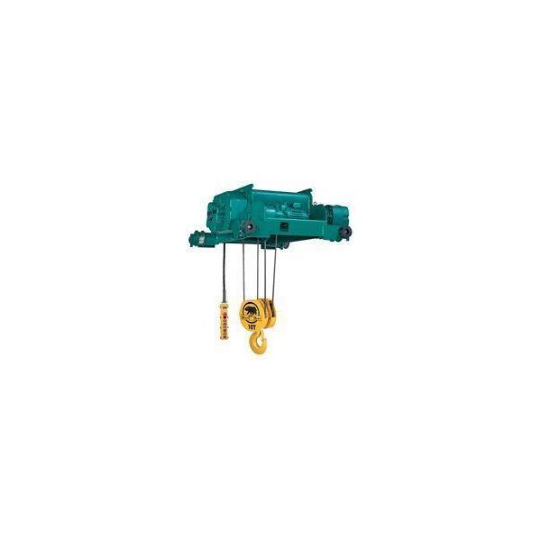 Electric Wire Rope Hoist (USA)-SU